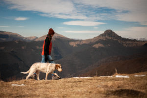 cane sul Monte Bisbino