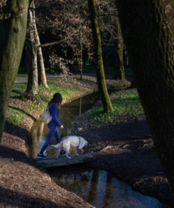 ragazza con cane al Parco di Monza