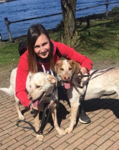 gita con i cani al Lago Maggiore