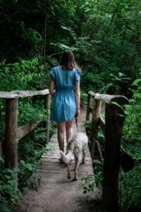 ragazza con cane attraversa un ponticello nel bosco