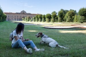 cane si è appena rotolato nel prato