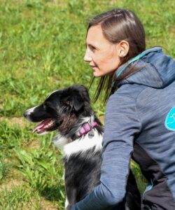 border collie indossa collare doggy essential