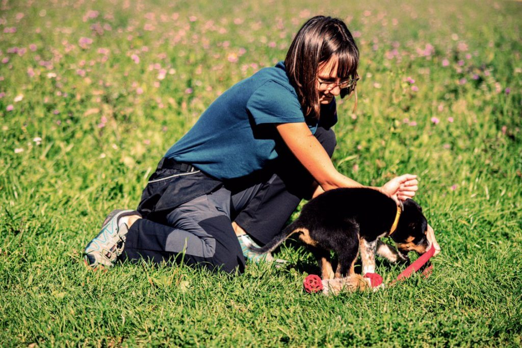 Ragazza gioca con un cucciolo di cane nel prato