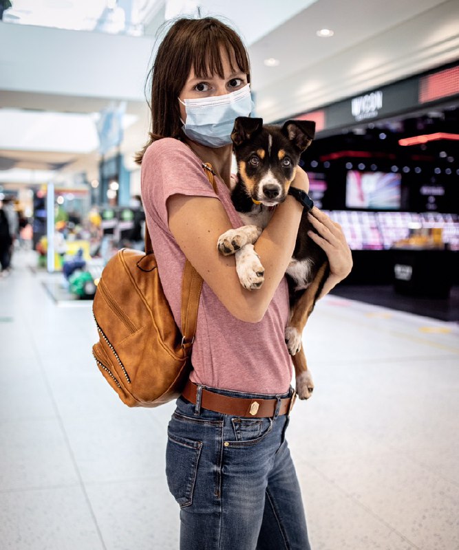 ragazza e cucciolo di cane al centro commerciale di rescaldina