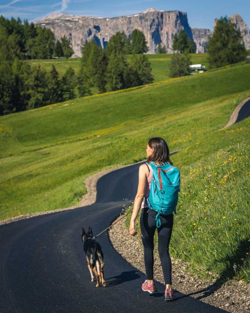 camminare sull'Alpe di Siusi con il cane