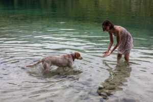 cane bianco meticcio vince la paura dell'acqua